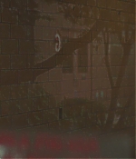 AMH-HC134.jpg