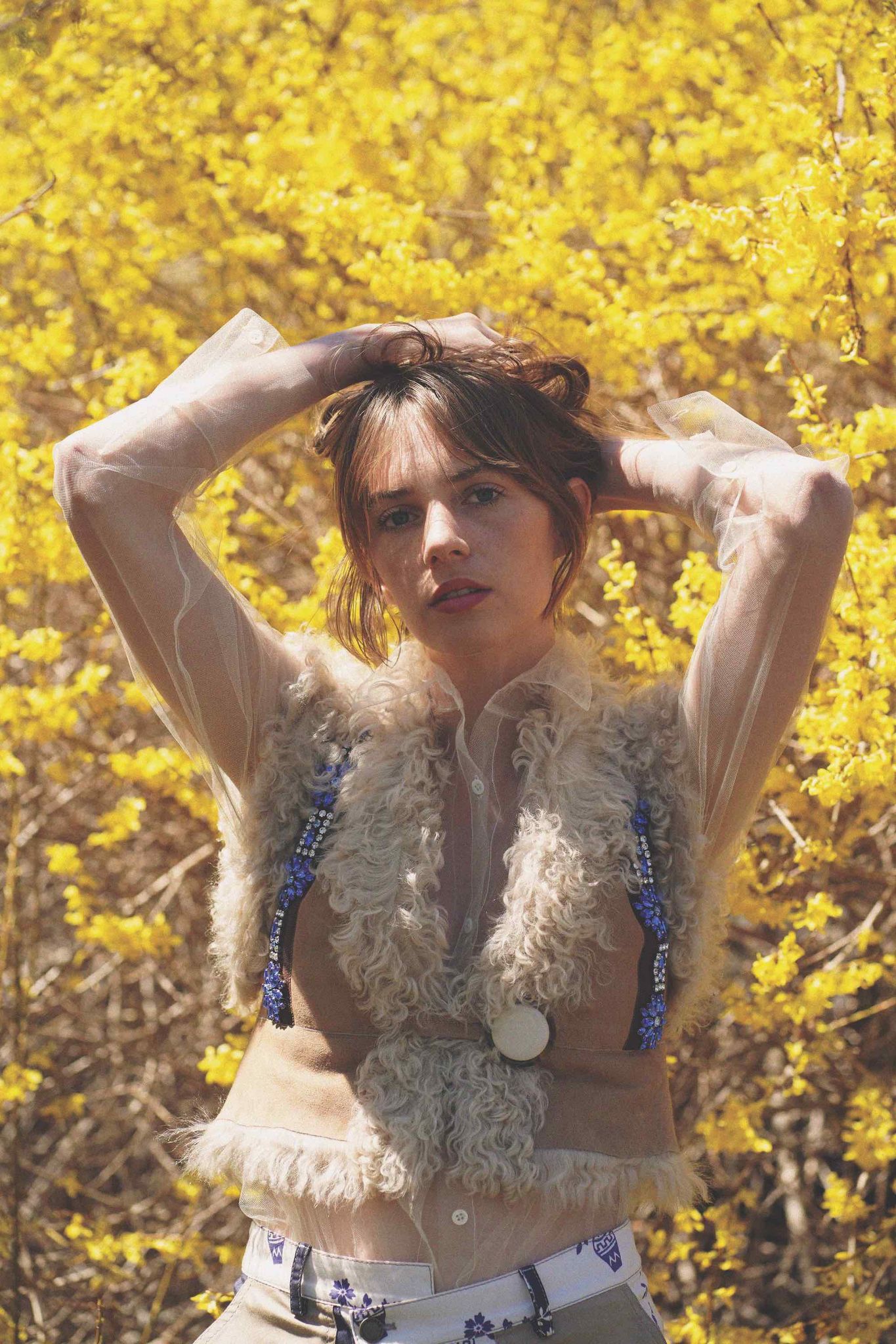 AMH-004.jpg AMH-004.jpg