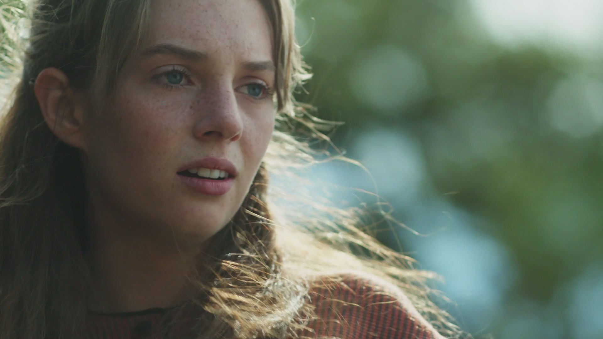 AMH101-493.jpg AMH101-493.jpg